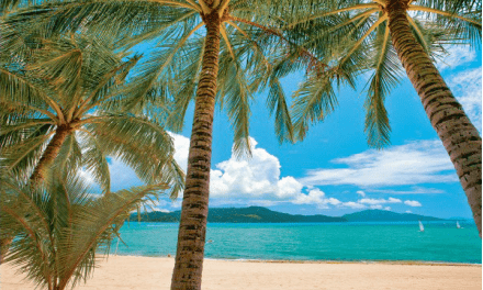 Oceania No Single Supplement on Select Caribbean Voyages