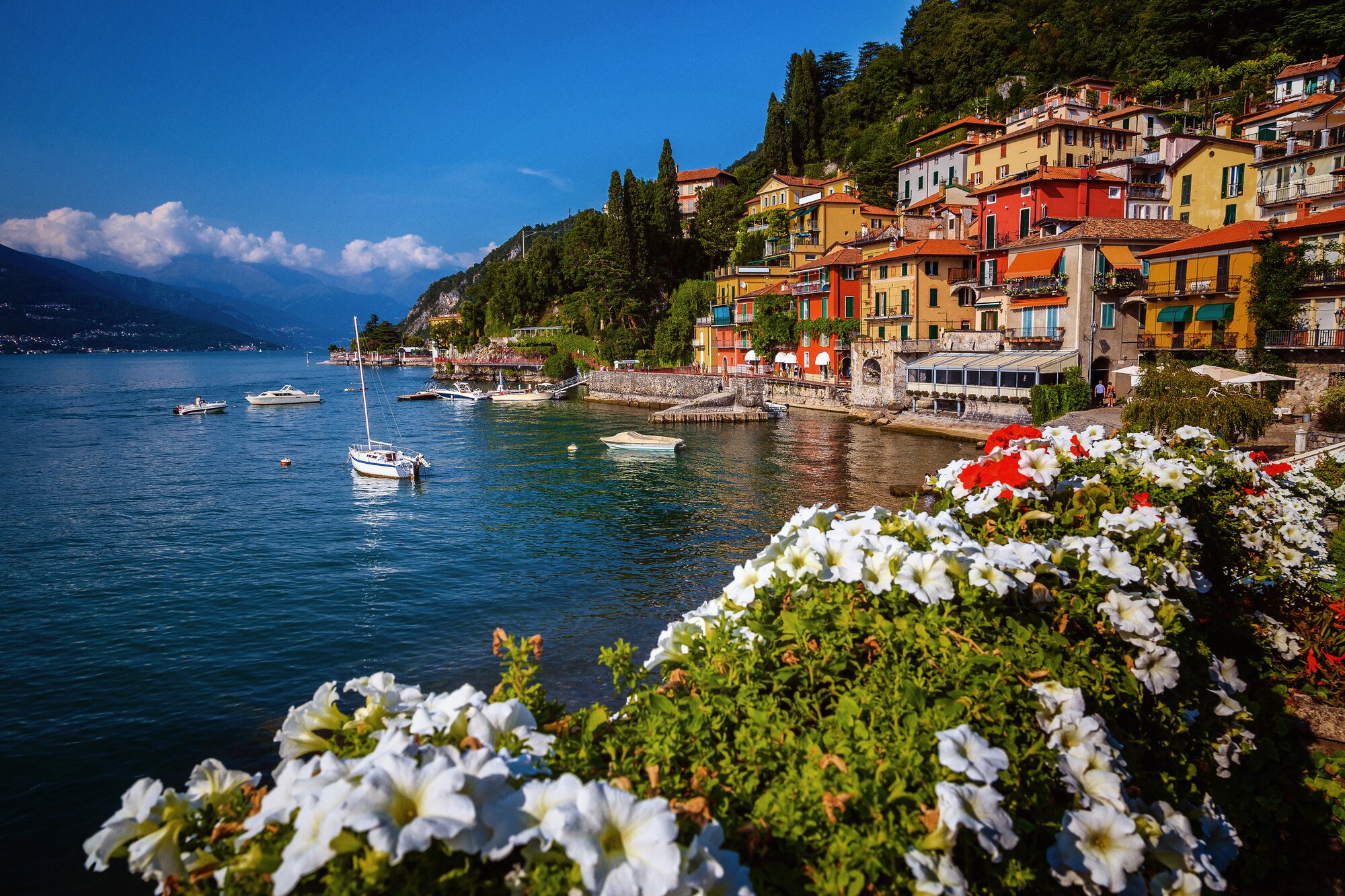 assets%2Feddad68ed57b4f8fb3d8a9411b32c38a%2Fc6995f04b353450aaf4fbf86487773d2 - Travel with Books in Bari Lake Como - Land Program